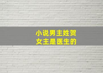 小说男主姓贺 女主是医生的